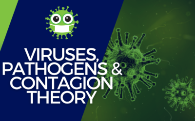 Viruses, Pathogens & Contagion Theory: Have We Been Tricked All Along?